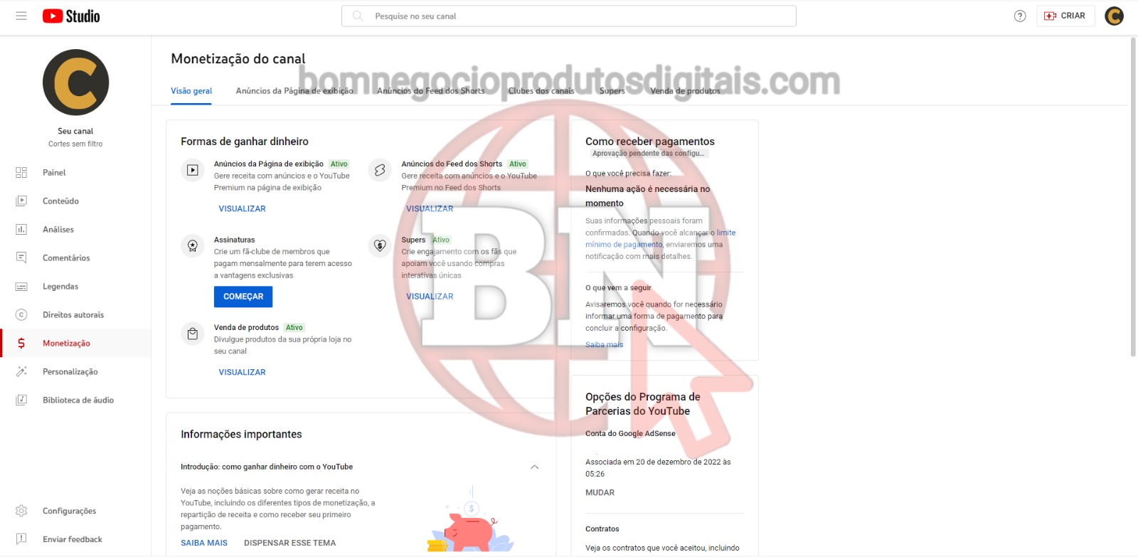 CANAL DO YOUTUBE DE 142K MONETIZADO - POLÍTICA - Imagem 2