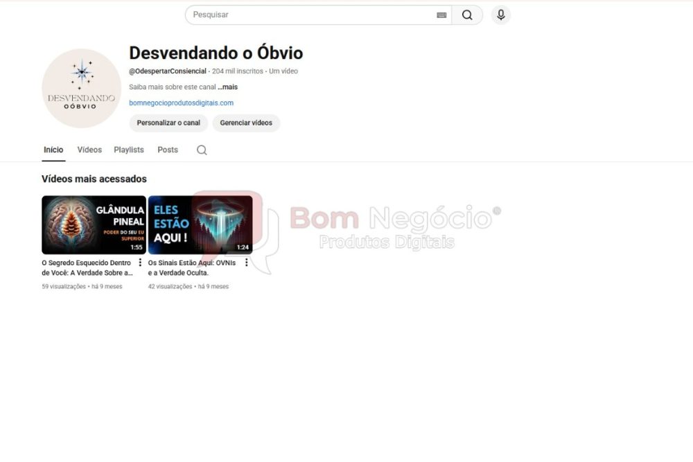 CANAL DO YOUTUBE DE 204K NÃO MONETIZADO - CURIOSIDADES (COD-429)