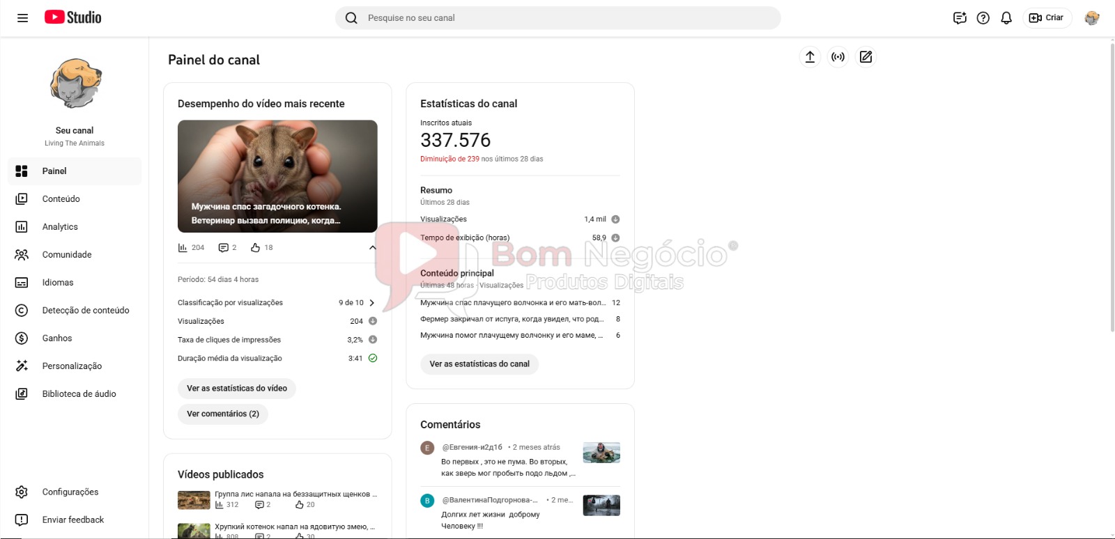 CANAL DO YOUTUBE DE 337K NÃO MONETIZADO - ANIMAIS (COD-521) - Imagem 2