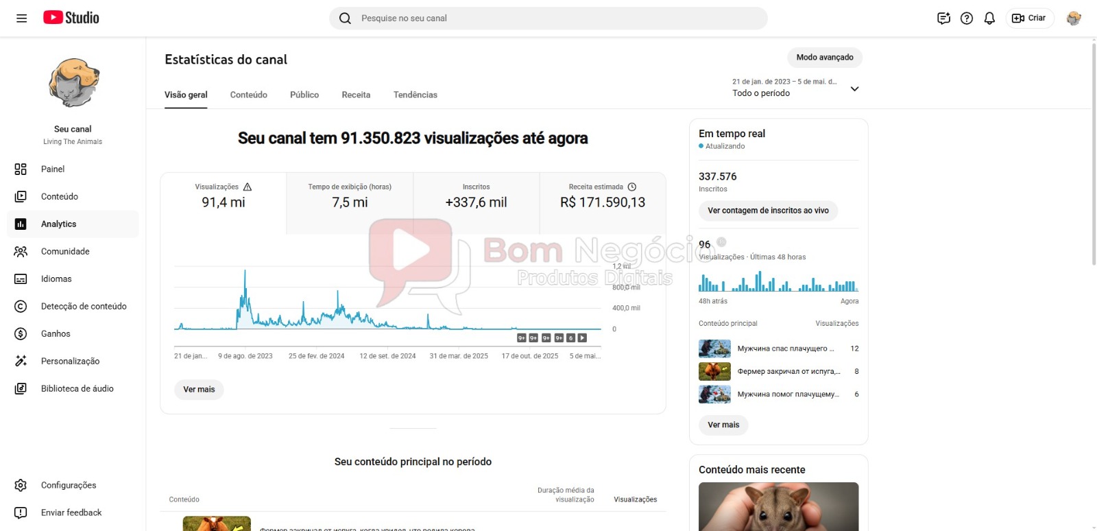 CANAL DO YOUTUBE DE 337K NÃO MONETIZADO - ANIMAIS (COD-521) - Imagem 3
