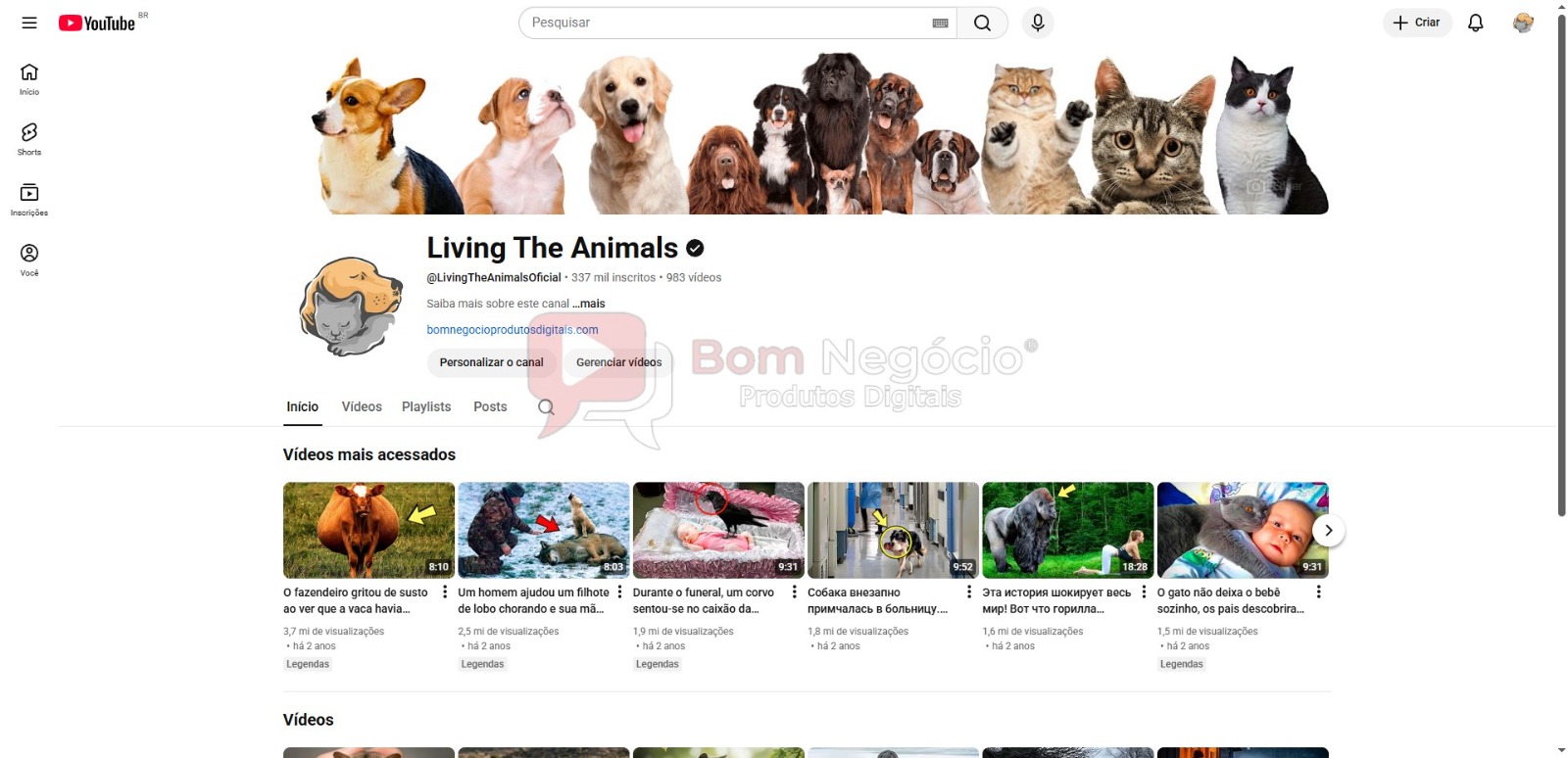 CANAL DO YOUTUBE DE 337K NÃO MONETIZADO - ANIMAIS (COD-521)